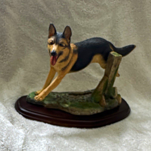 Alsatian german shepherd - alsatian/german, dog