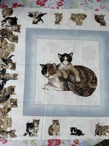 Cat kitten animal print - cat,