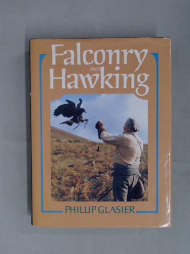 Falconry and hawking glasier - falconry,