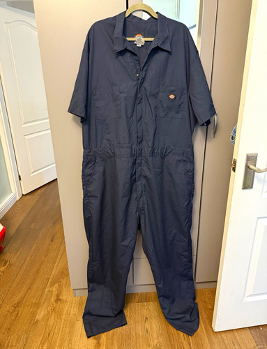 Dickies blue work - dickies,