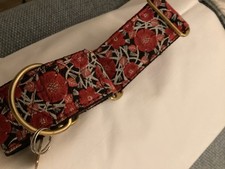 Greyhound  sighthound