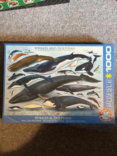 Eurographics whales dolphins - eurographics,