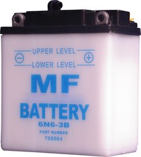 Battery (Conventional) for