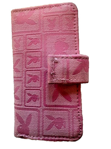 New playboy bunny - bunny, ipod