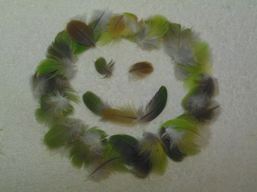 Green body feathers 1 - body,