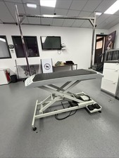 Electric Dog Grooming Table