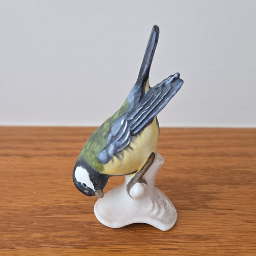 Goebel great titmouse - great,