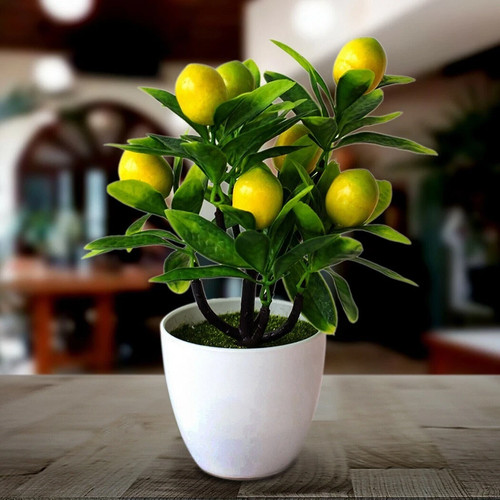 Artificial lemon tree - tree, plant