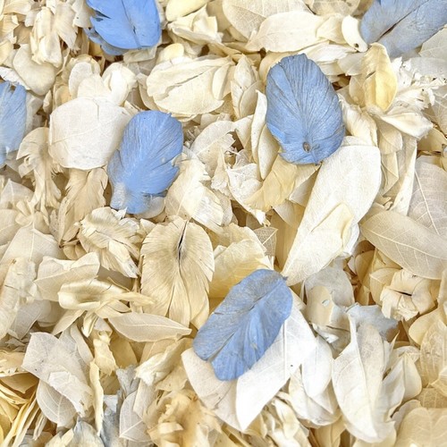 Rose petal natural - rose,