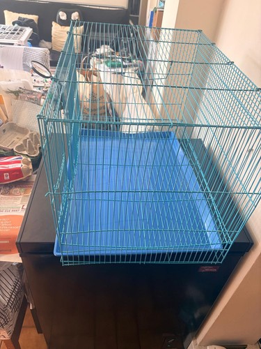 Blue foldable bird cage - bird,