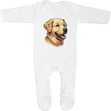 'Golden Retriever Portrait'