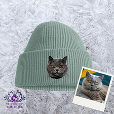 BRITISH SHORTHAIR CAT