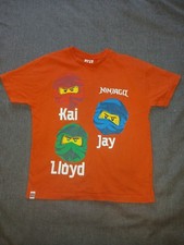 Lego Ninjago Character  Print