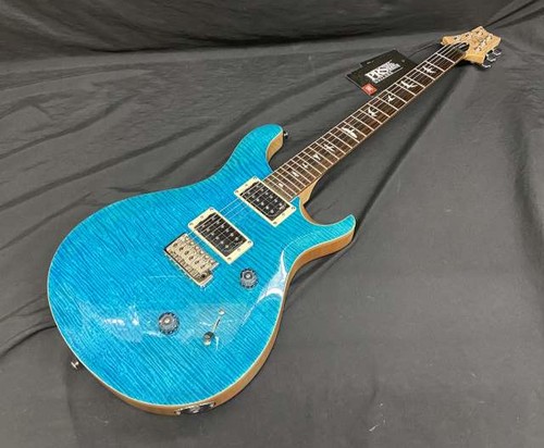 Prs custom electric - custom,