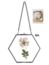 Hexagon 6inch Double Glass