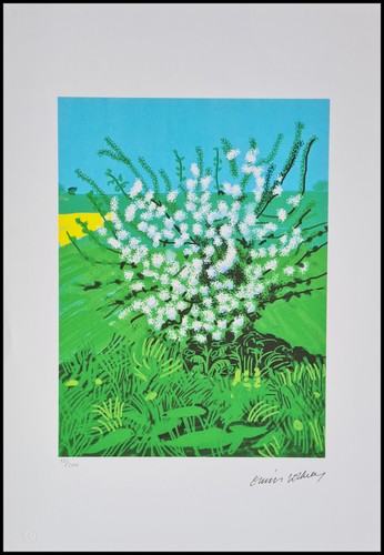 David hockney the - arrival, of