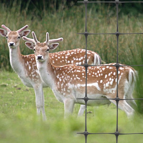 Deer fencing mesh livestock - mesh,