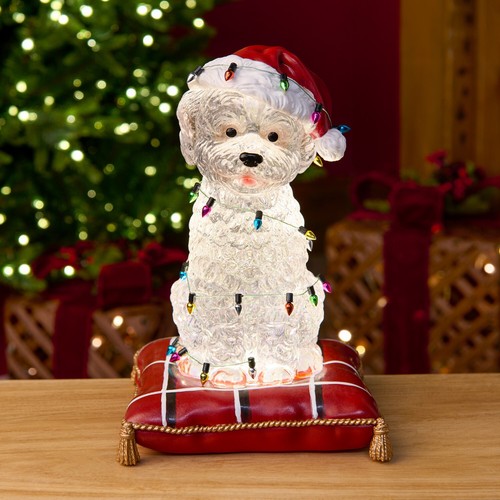 New cockapoo light glitter - new,