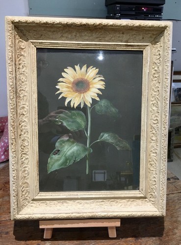 Oil painting sunflower - oil,