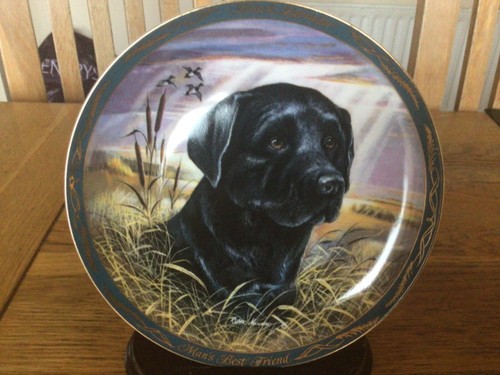 Black labrador dog - black, plate