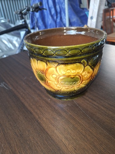 West german plant - plant, pot