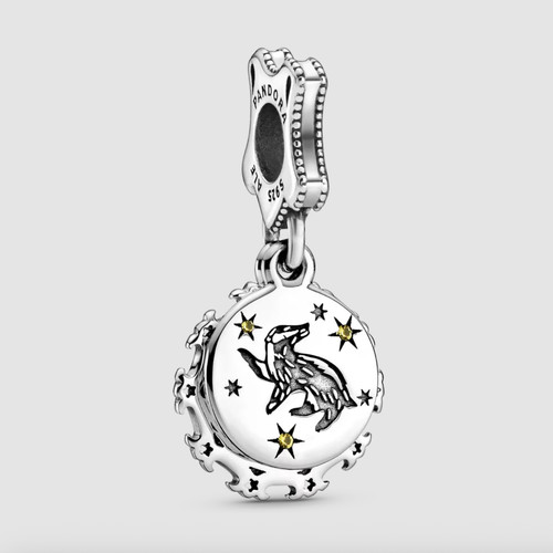 Harry potter pandora charm - harry,