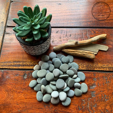 50 small beach pebbles sea