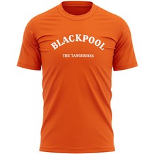 Blackpool Mens T Shirt shirt