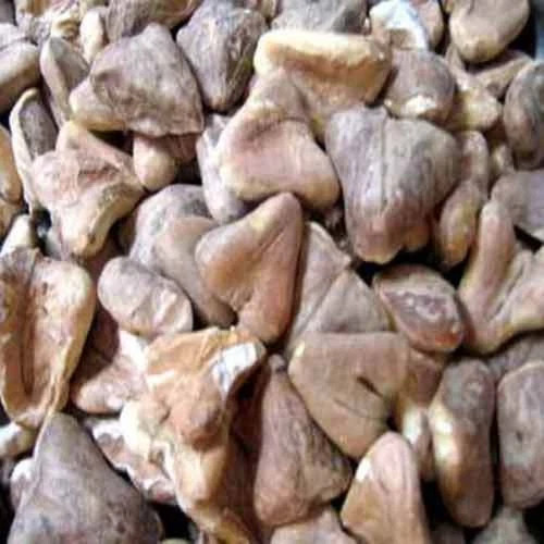 Dry whole water - dry,