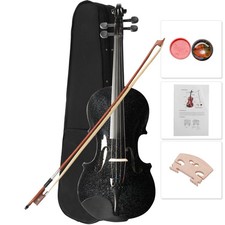 4/4 Size Acoustic Violin Set