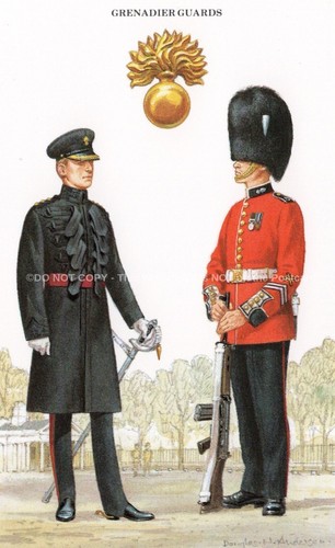 Grenadier guards military - guards,
