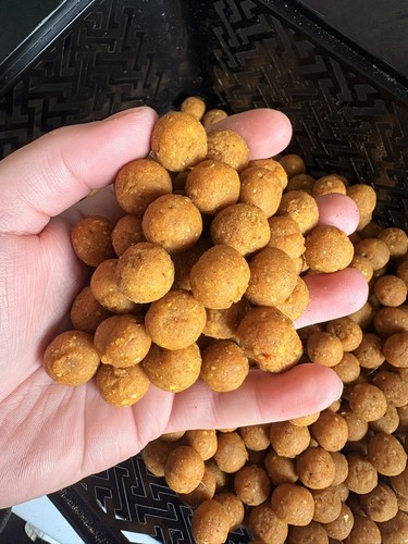 Curry nut krill boilies or - nut, 12