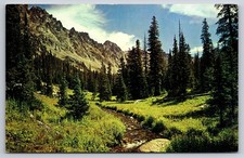 Vintage Postcard Wheeler Basin