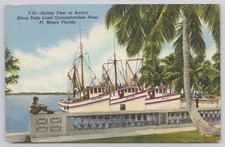 Shrimp Fleet Fishing Boats