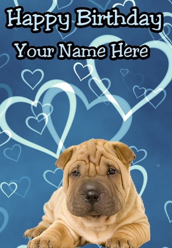 Shar pei dog puppy a5 - shar-pei,