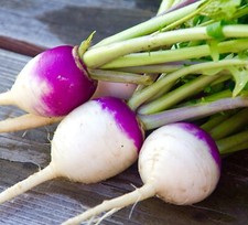 Turnip - Milan Purple - 700x Seeds- Vegetable