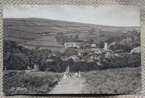 Neots landscape - st,