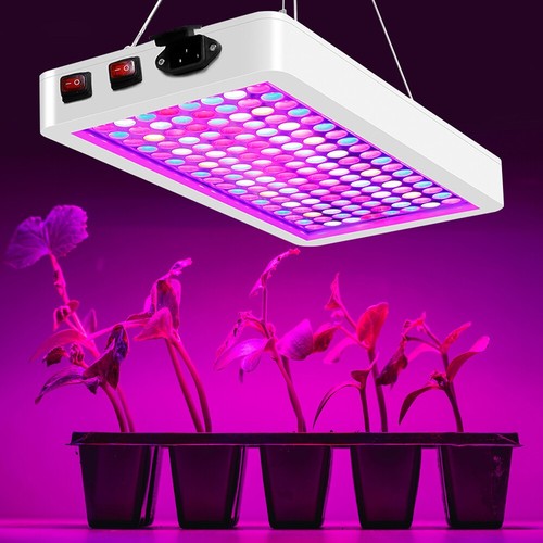 Led grow lights - led,