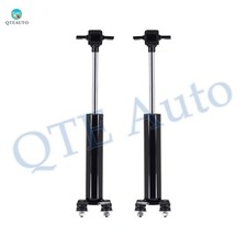 Pair of 2 Front Shock Absorber