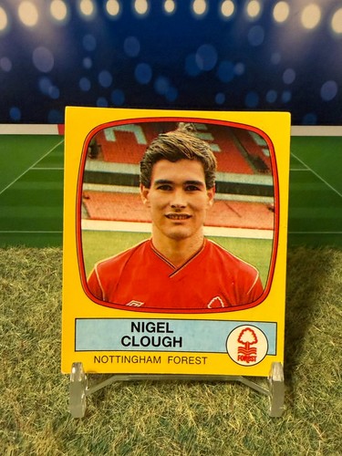 Panini football sticker - football,