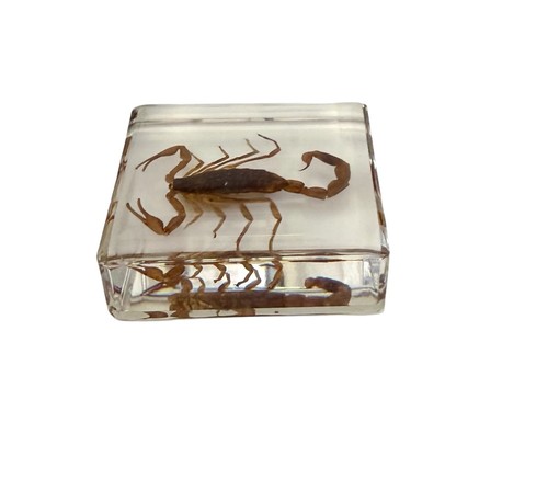 Paperweight/Ornament-Golden