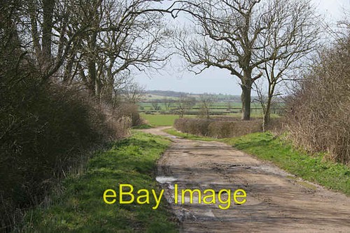 Photo 6x4 country road - road, between