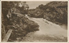 Real photo salmon leaping the