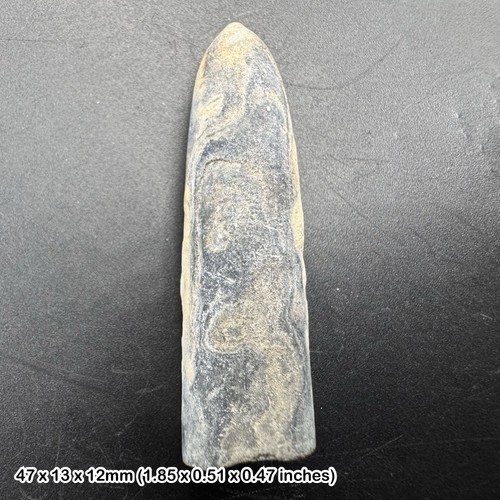 Norfolk belemnite cretaceous - belemnite,,