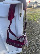 Mini Shetland Size Head Collar