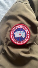 Good Conditions Canada Goose