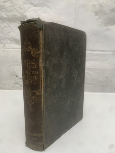Natural history selborne - of,