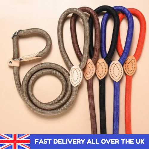 Dog leash slip rope lead - dog,