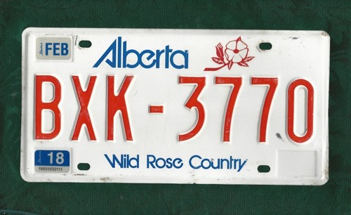 Bxk3770 alberta wild rose - bxk3770,