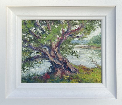 Tree ards friary donegal - ards,